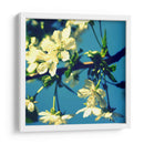 Flor De Verano Ii - Lillian Bell | Cuadro decorativo de Canvas Lab