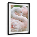 Flamingo rosa pastel | Cuadro decorativo de Canvas Lab