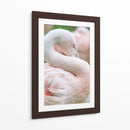 Flamingo rosa pastel | Cuadro decorativo de Canvas Lab