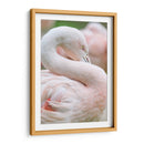 Flamingo rosa pastel | Cuadro decorativo de Canvas Lab