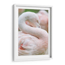 Flamingo rosa pastel | Cuadro decorativo de Canvas Lab