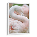 Flamingo rosa pastel | Cuadro decorativo de Canvas Lab