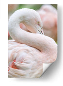 Flamingo rosa pastel | Cuadro decorativo de Canvas Lab