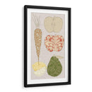 Frutas De Contorno Y Verduras Vii - Vision Studio | Cuadro decorativo de Canvas Lab
