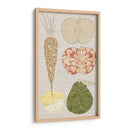 Frutas De Contorno Y Verduras Vii - Vision Studio | Cuadro decorativo de Canvas Lab