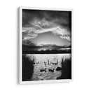 Piscina - Martin Henson | Cuadro decorativo de Canvas Lab