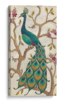 Peacock Fresco Ii - June Erica Vess | Cuadro decorativo de Canvas Lab