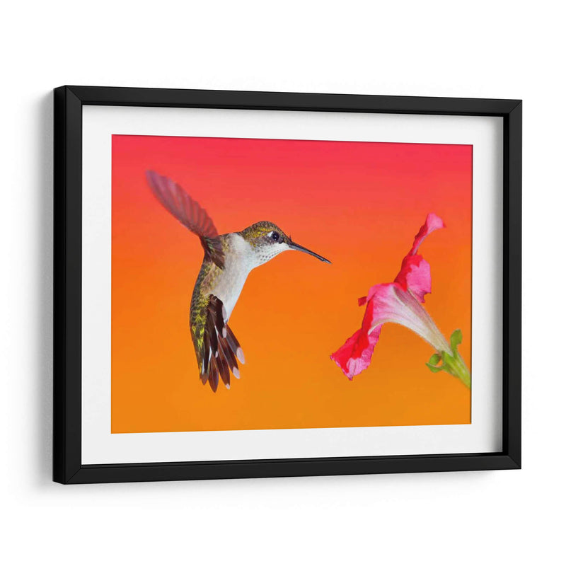 La Flor De La Flor I - Leda Robertson | Cuadro decorativo de Canvas Lab