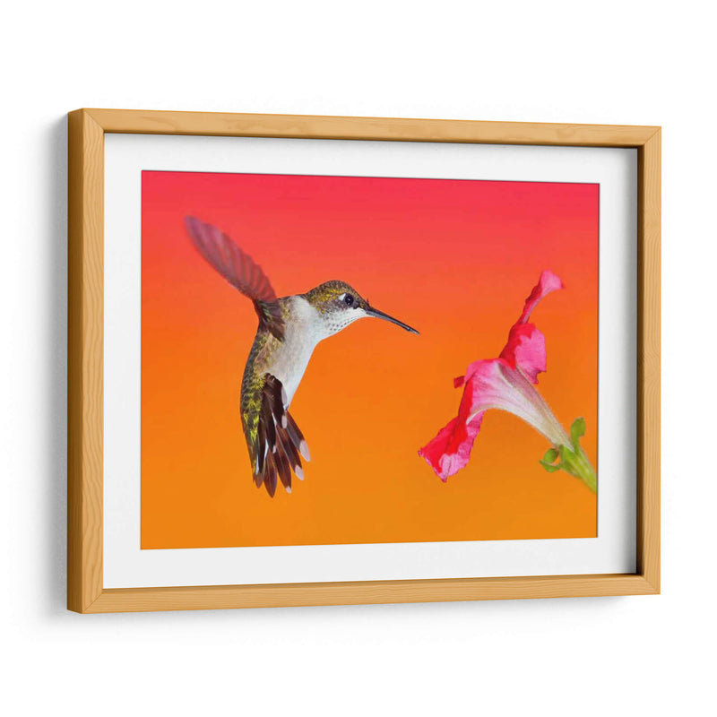 La Flor De La Flor I - Leda Robertson | Cuadro decorativo de Canvas Lab