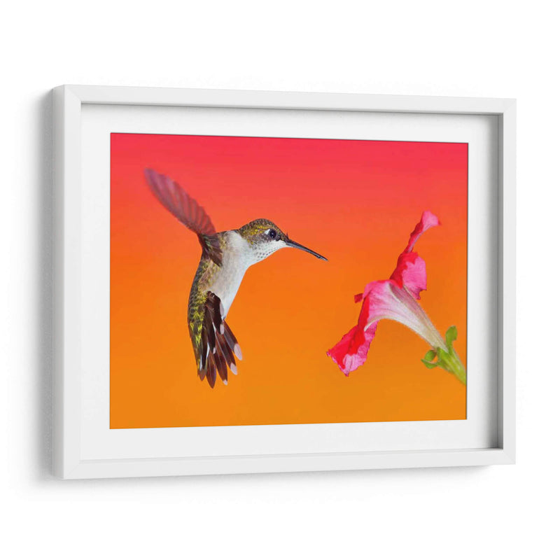 La Flor De La Flor I - Leda Robertson | Cuadro decorativo de Canvas Lab