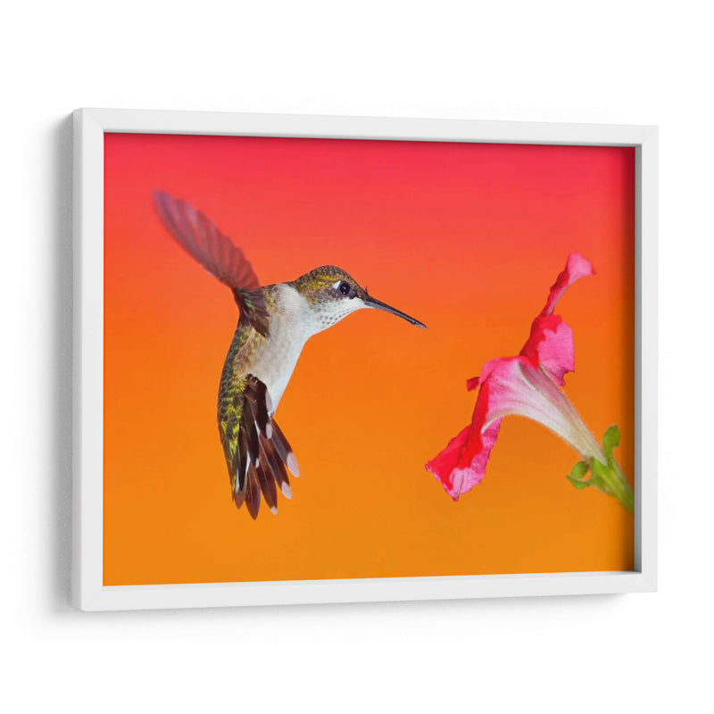 La Flor De La Flor I - Leda Robertson | Cuadro decorativo de Canvas Lab