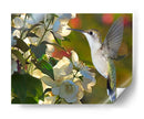 La Flor Dance Ii - Leda Robertson | Cuadro decorativo de Canvas Lab