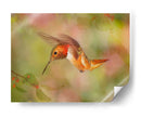 La Flor Dance Iii - Leda Robertson | Cuadro decorativo de Canvas Lab