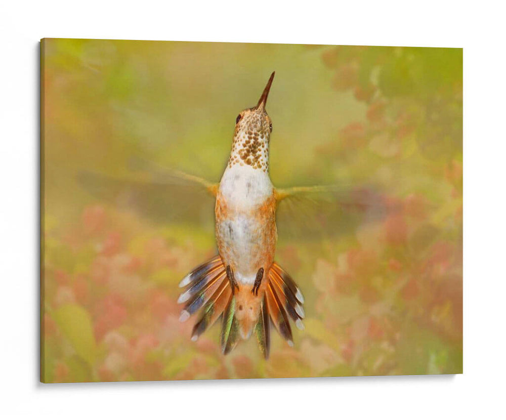 La Flor De La Flor Iv - Leda Robertson | Cuadro decorativo de Canvas Lab