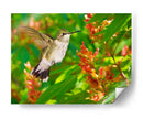 La Flor De La Flor Vii - Leda Robertson | Cuadro decorativo de Canvas Lab