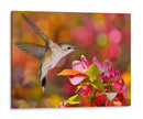 El Baile De Flores Ix - Leda Robertson | Cuadro decorativo de Canvas Lab