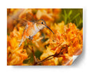 La Flor Danza X - Leda Robertson | Cuadro decorativo de Canvas Lab