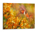 La Flor Dance Xi - Leda Robertson | Cuadro decorativo de Canvas Lab