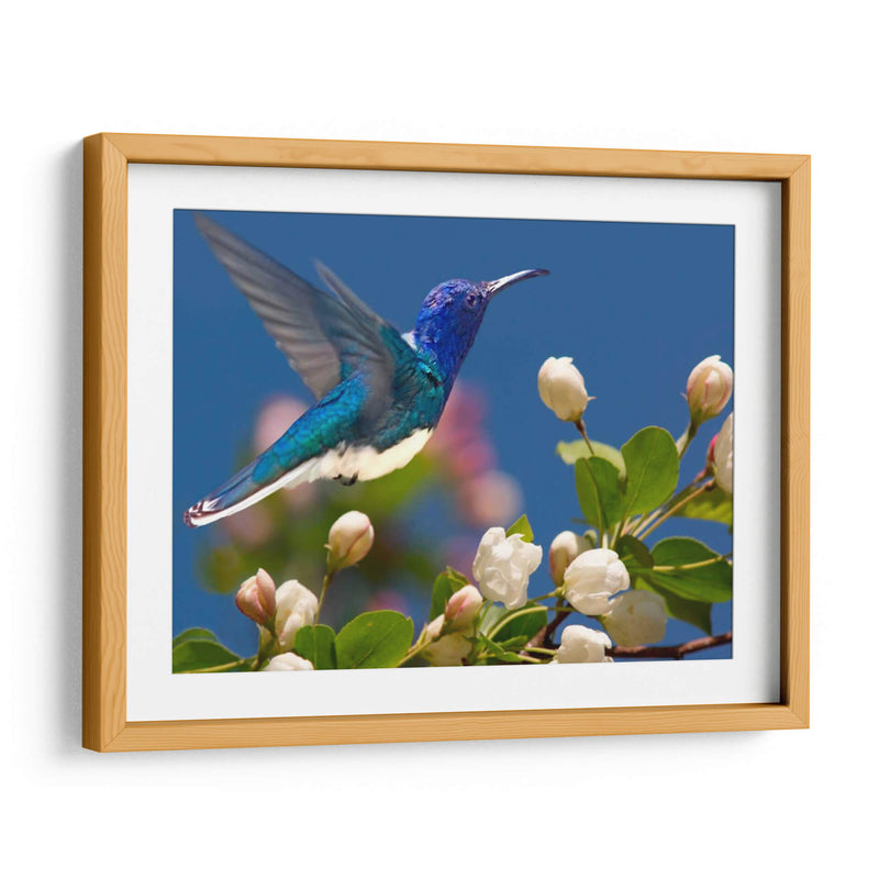 La Flor Danza Xiv - Leda Robertson | Cuadro decorativo de Canvas Lab