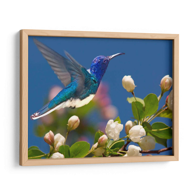 La Flor Danza Xiv - Leda Robertson | Cuadro decorativo de Canvas Lab