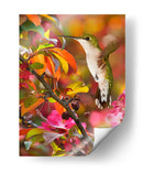 La Flor Dance Xvii - Leda Robertson | Cuadro decorativo de Canvas Lab