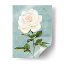 Crema Rosa I - Jade Reynolds | Cuadro decorativo de Canvas Lab