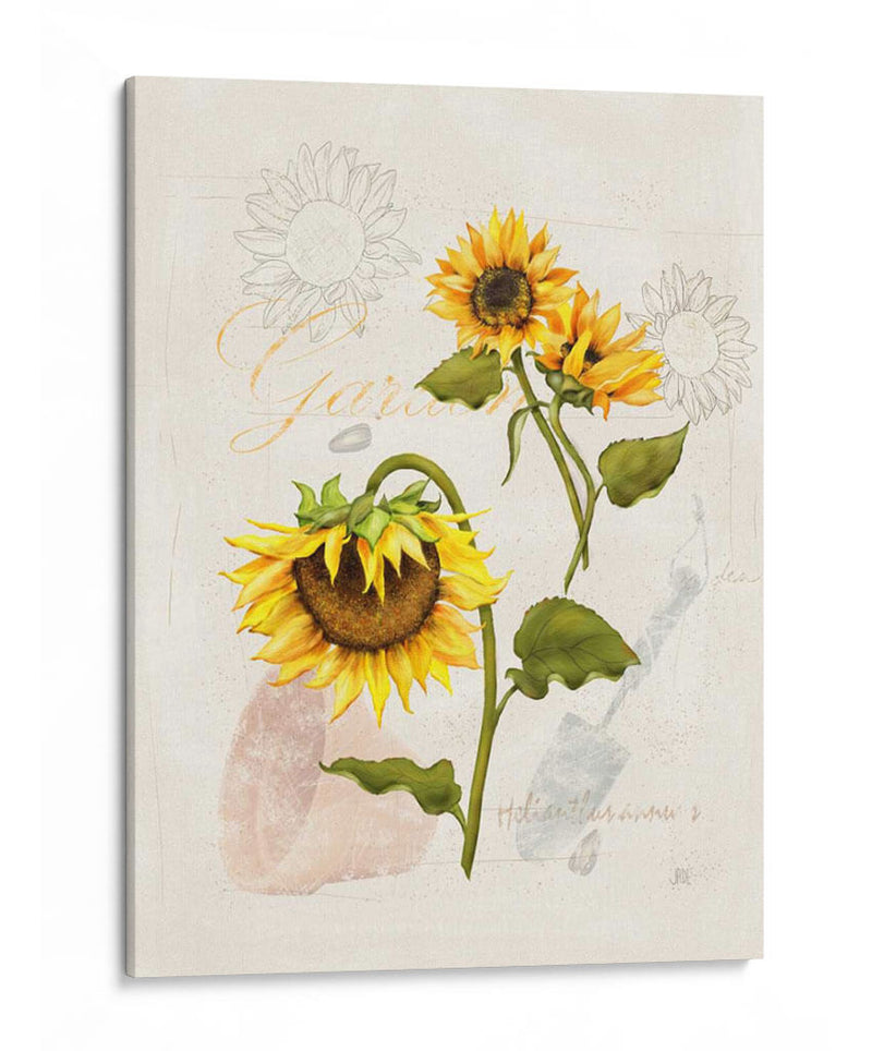 Girasol Romántico I - Jade Reynolds | Cuadro decorativo de Canvas Lab