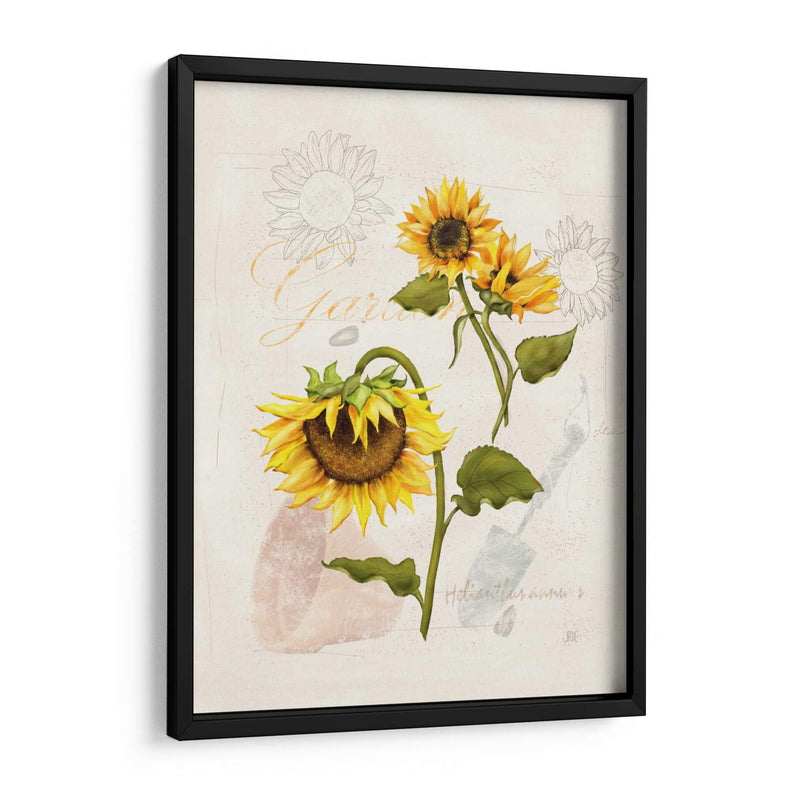 Girasol Romántico I - Jade Reynolds | Cuadro decorativo de Canvas Lab