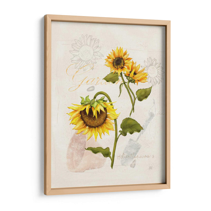 Girasol Romántico I - Jade Reynolds | Cuadro decorativo de Canvas Lab