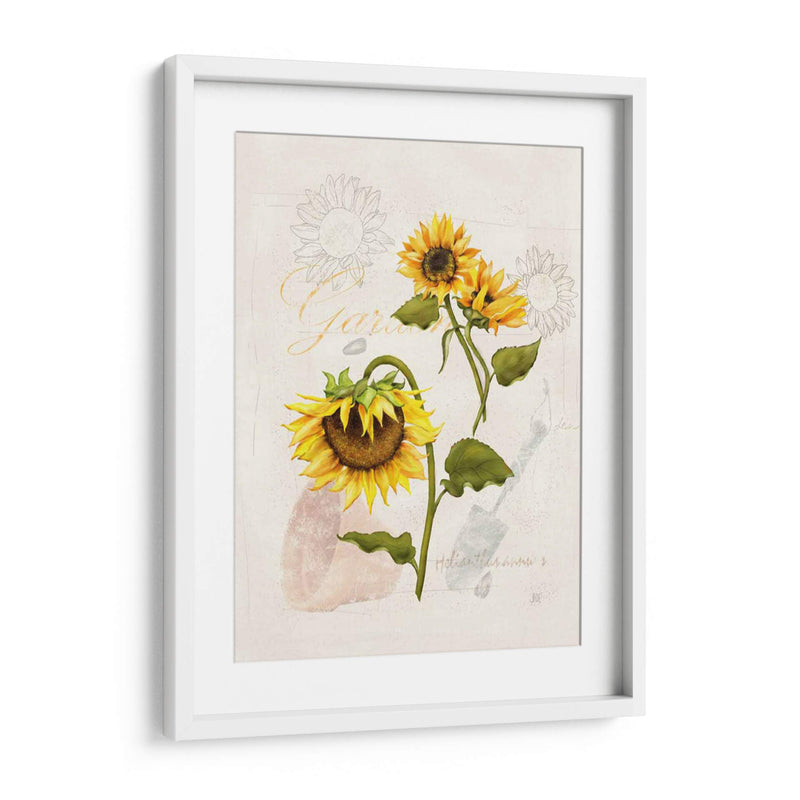 Girasol Romántico I - Jade Reynolds | Cuadro decorativo de Canvas Lab