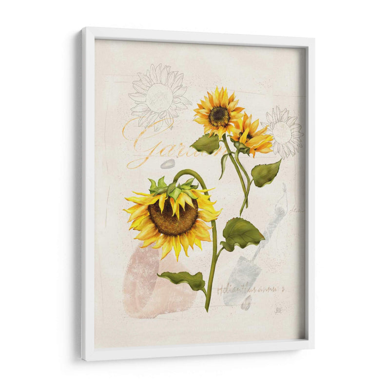 Girasol Romántico I - Jade Reynolds | Cuadro decorativo de Canvas Lab