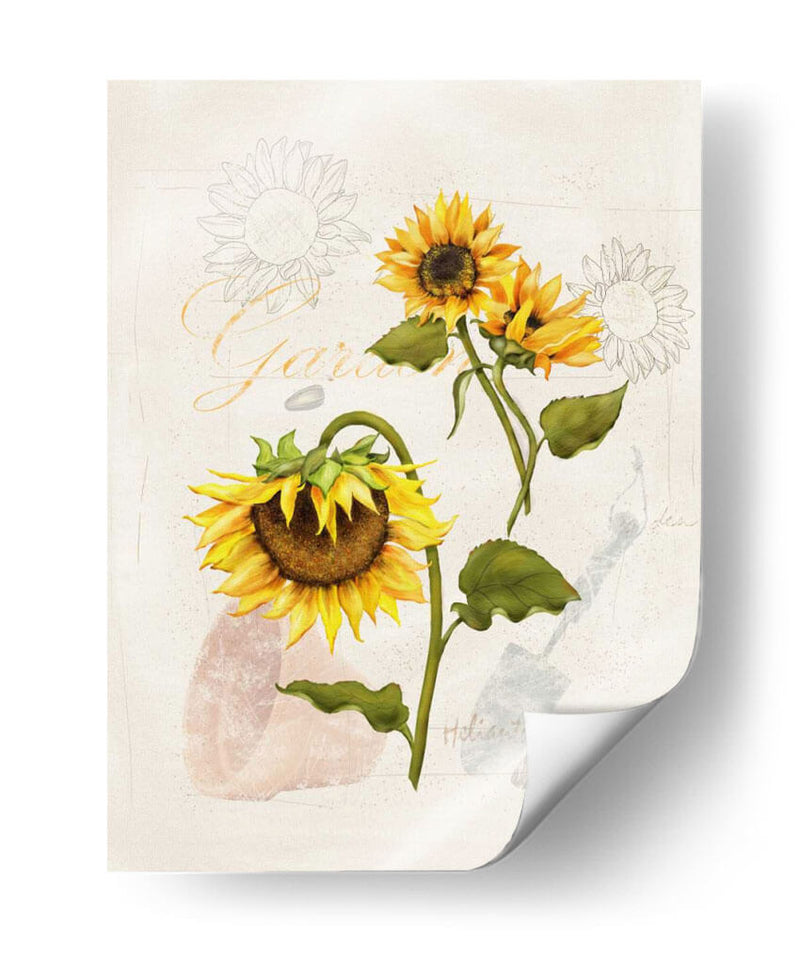 Girasol Romántico I - Jade Reynolds | Cuadro decorativo de Canvas Lab