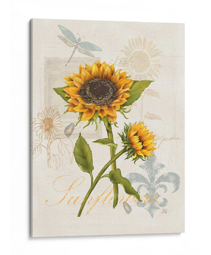 Girasol Romántico Ii - Jade Reynolds | Cuadro decorativo de Canvas Lab