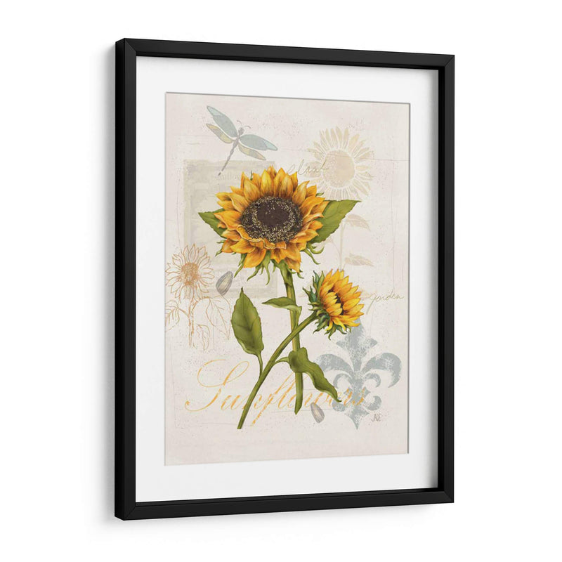 Girasol Romántico Ii - Jade Reynolds | Cuadro decorativo de Canvas Lab