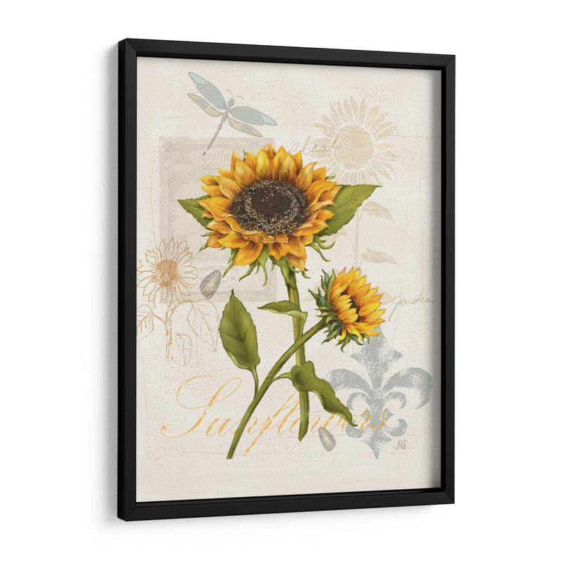 Girasol Romántico Ii - Jade Reynolds | Cuadro decorativo de Canvas Lab