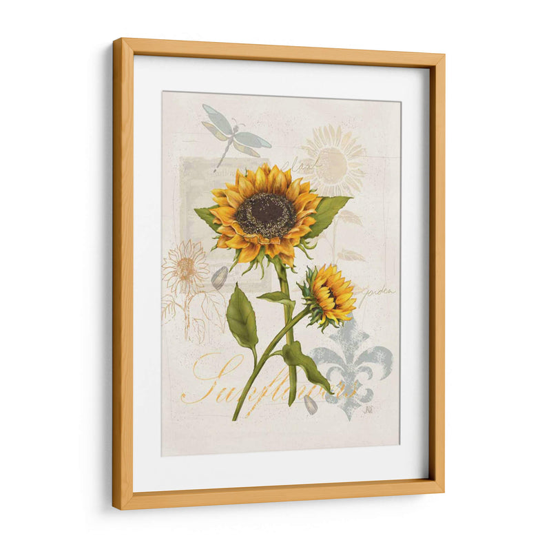 Girasol Romántico Ii - Jade Reynolds | Cuadro decorativo de Canvas Lab