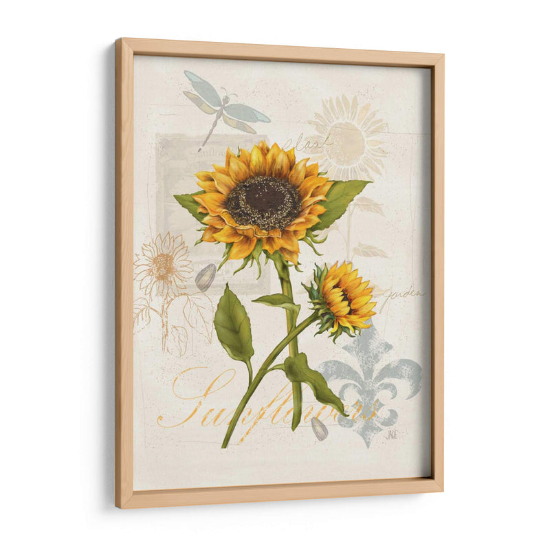 Girasol Romántico Ii - Jade Reynolds | Cuadro decorativo de Canvas Lab