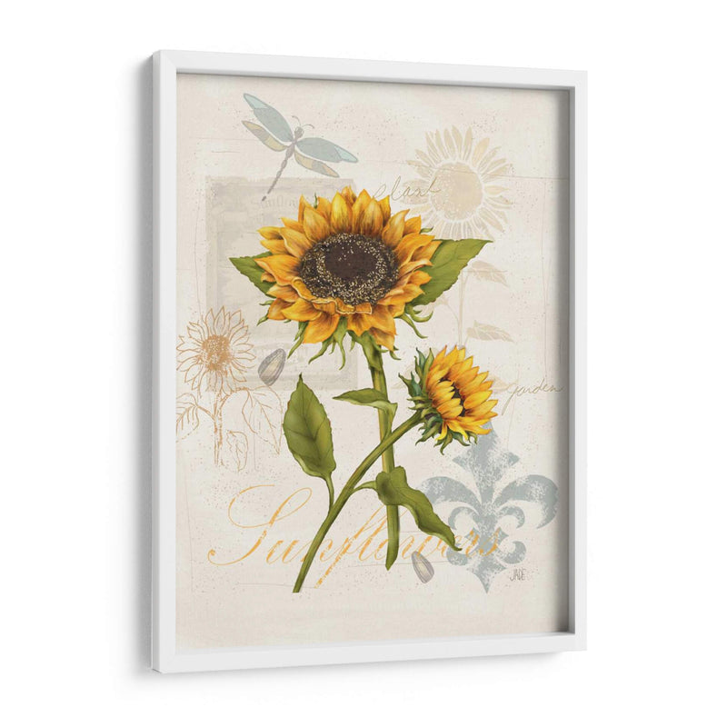 Girasol Romántico Ii - Jade Reynolds | Cuadro decorativo de Canvas Lab