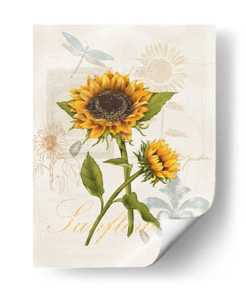 Girasol Romántico Ii - Jade Reynolds | Cuadro decorativo de Canvas Lab