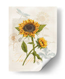 Girasol Romántico Ii - Jade Reynolds | Cuadro decorativo de Canvas Lab