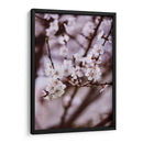 Florecer así | Cuadro decorativo de Canvas Lab