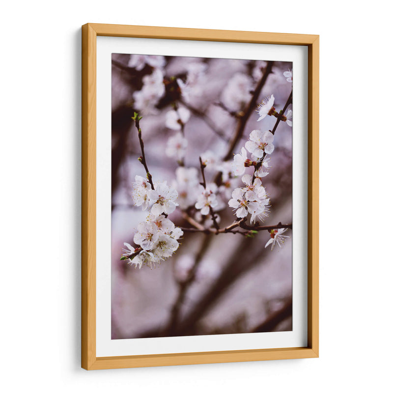 Florecer así | Cuadro decorativo de Canvas Lab