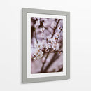 Florecer así | Cuadro decorativo de Canvas Lab