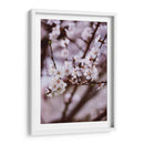 Florecer así | Cuadro decorativo de Canvas Lab