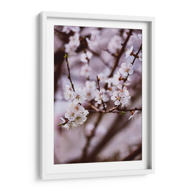 Florecer así | Cuadro decorativo de Canvas Lab