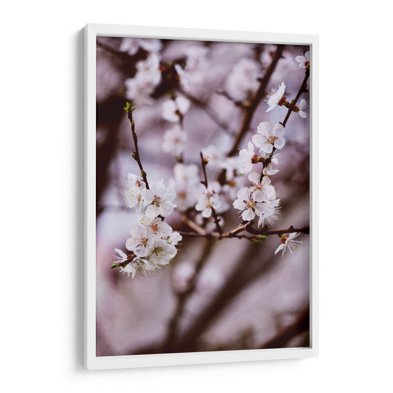 Florecer así | Cuadro decorativo de Canvas Lab