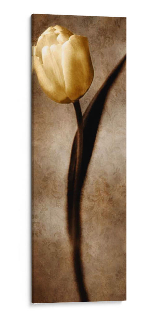 Damasco Tulip Ii - Christine Zalewski | Cuadro decorativo de Canvas Lab