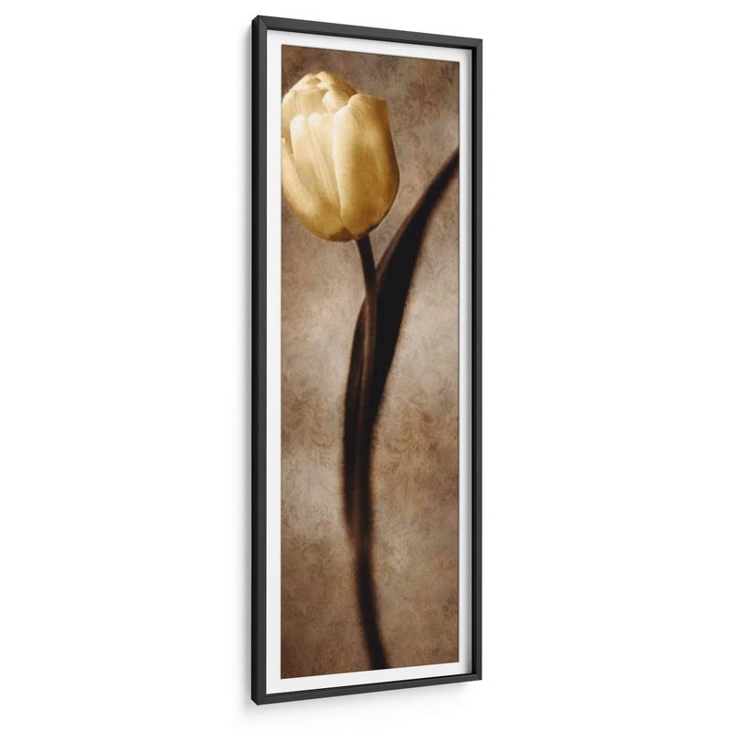 Damasco Tulip Ii - Christine Zalewski | Cuadro decorativo de Canvas Lab