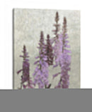 Foxgloves No Adornados I - Chariklia Zarris | Cuadro decorativo de Canvas Lab