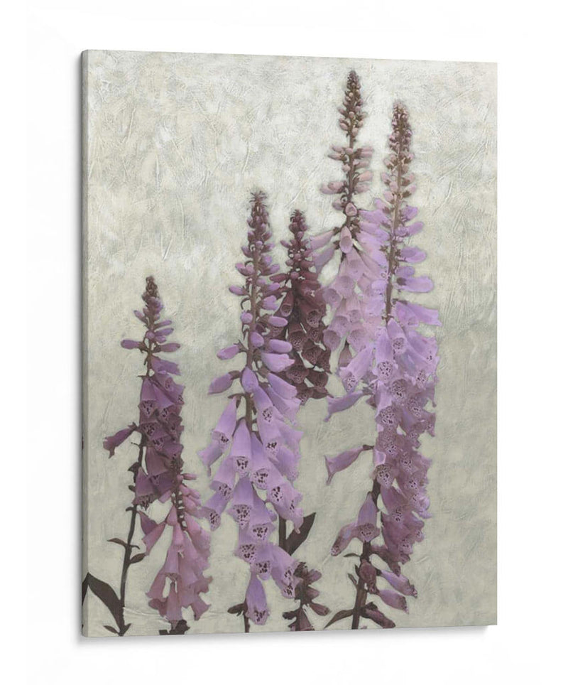 Foxgloves No Adornados I - Chariklia Zarris | Cuadro decorativo de Canvas Lab